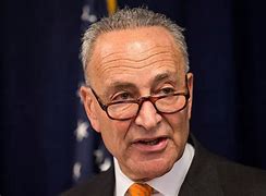Image result for Chuck Schumer