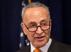 Image result for Chuck Schumer Press Conference
