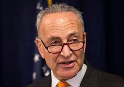 Image result for New York Chuck Schumer