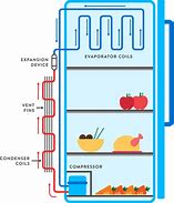 Image result for Refrigerator Freezer Diagram