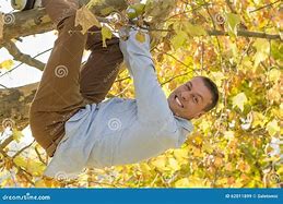 Image result for Man Hanging From Tree