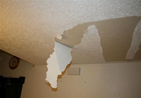 Laurel's Adventures in Home Repair   Ceiling Tiles