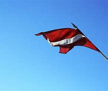 Image result for Latvian Votes People