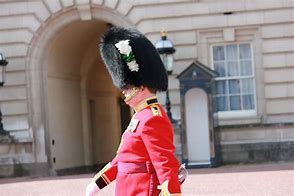 Image result for Alice Changing Guards at Buckingham Palace