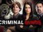 Image result for Criminal Minds TV Series
