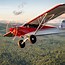 Image result for Carbon Cub SS