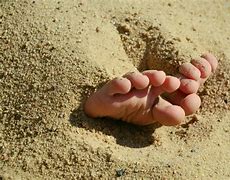 Image result for Dinah Manoff Barefoot