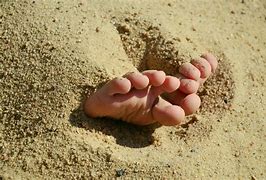 Image result for Anne Murray Barefoot