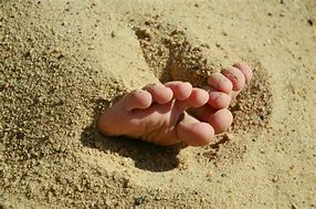 Image result for Antonia Gentry Barefoot