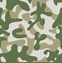 Image result for Fallschirmjager Camouflage