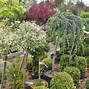 Image result for Plant Nursery Near Me