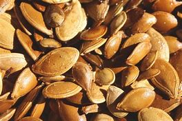 Image result for photo of a seed