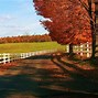 Image result for Pretty Fall Desktop Backgrounds