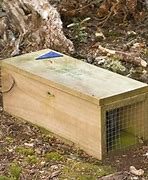 Image result for Wooden Box Rabbit Trap