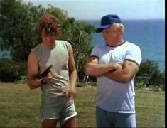 Image result for Hardcastle and McCormick TV Series