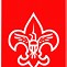 Image result for boy scout sign