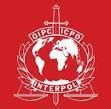 Image result for Interpol Wanted Poster