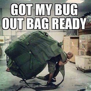 Image result for funny bug out