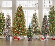 Image result for Home Depot Fresh Christmas Trees