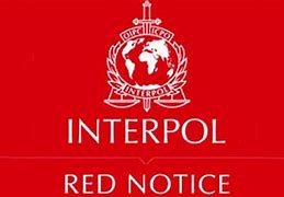 Image result for Olga Interpol Most Wanted