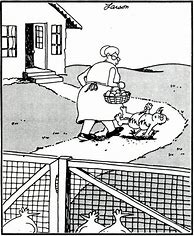 Image result for Far Side Chicken Cartoons