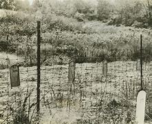 Image result for German Saboteurs Executed