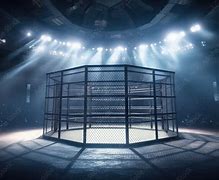 Image result for Fight Arena