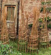 Image result for Making Willow Plant Supports