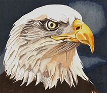 Image result for Pencil Drawings of Bald Eagles
