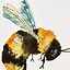 Image result for Bee Artwork