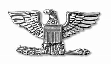 Image result for colonel rank