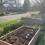 Image result for DIY Garden Planter Box