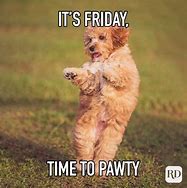 Image result for Happy Friday Memes Funny