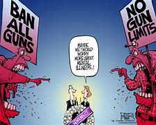 Image result for Anti Gun Control Cartoons