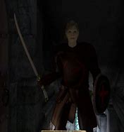 Image result for Dark Crusader