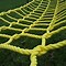 Image result for Climbing Cargo Net