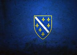 Image result for bosnian flag meaning