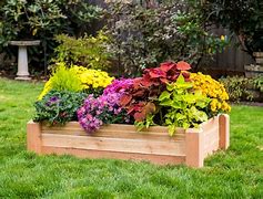 Image result for Cedar Tapered Planters