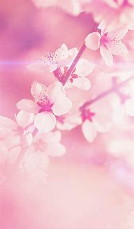 Image result for iPhone Home Screen Wallpaper Pink Background