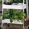 Image result for Wood Plant Stand