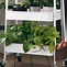 Image result for Single Tier Plant Stands