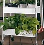 Image result for Small Plant Stands Outdoor