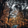 Image result for Fall Road Background