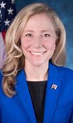 Image result for Abigail Spanberger District Map
