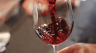 Image result for Whynter Thermoelectric Wine Cooler