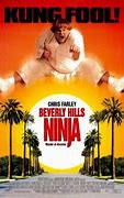 Image result for Beverly Hills Ninja Girl