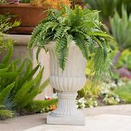 Image result for Noble House Planters