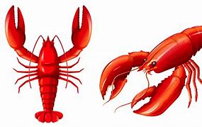 Image result for Red Lobster Drawing