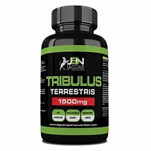 Image result for Tribulus Terrestris Testosterone Booster For Men (60 Capsules)