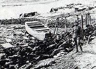Image result for Nanking Massacre Buried Alive